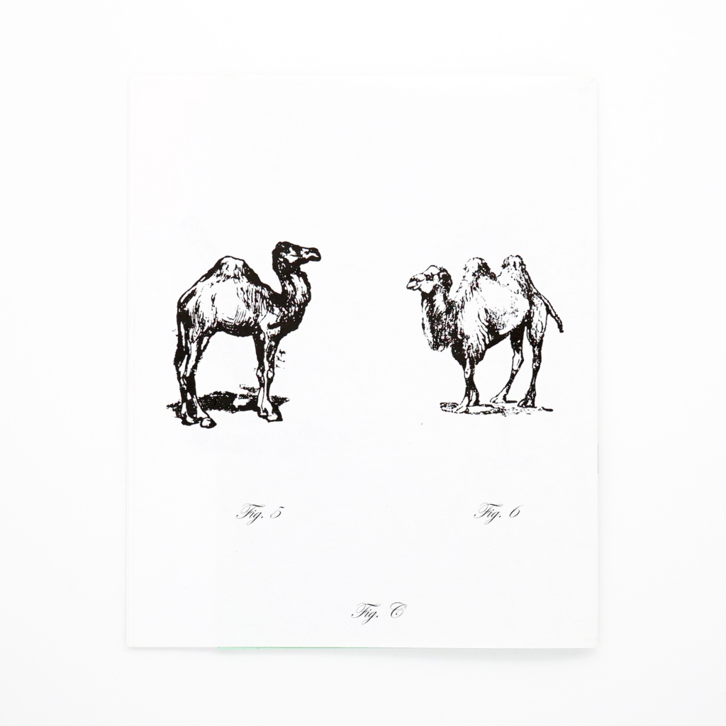 Marcel Broodthaers Fanzine - Image 10