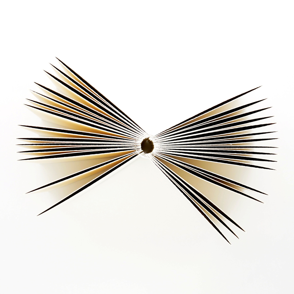 radical absence / absence radicale <br/> antoine lefebvre editions - Image 3