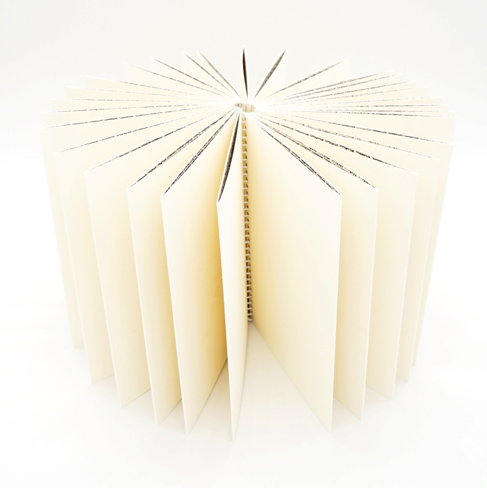 radical absence / absence radicale <br/> antoine lefebvre editions