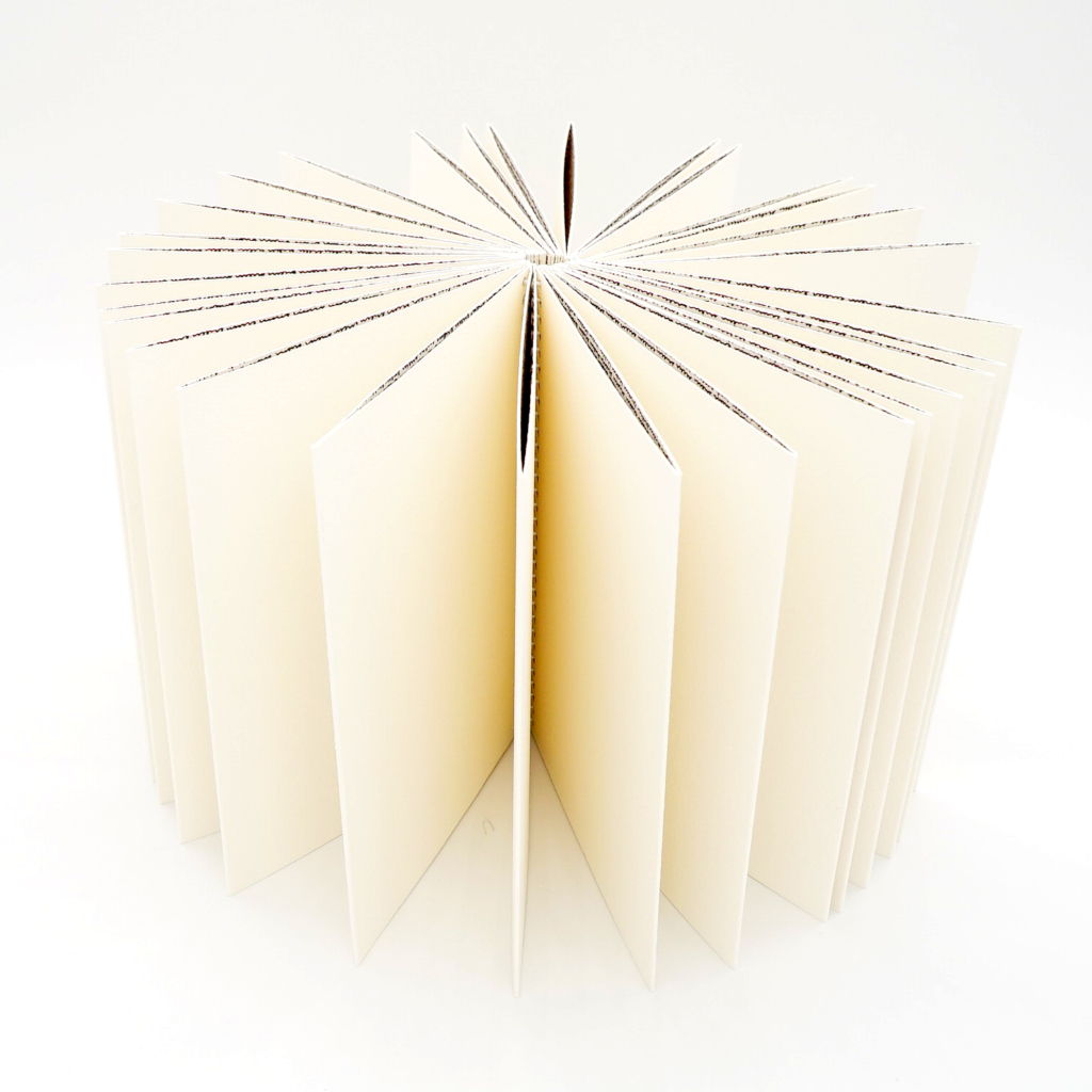 radical absence / absence radicale <br/> antoine lefebvre editions - Image 6